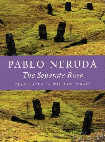 Libro: The Separate Rose (kage-an Books) (english And Spanis