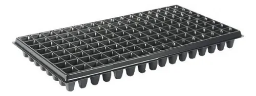 Semilla De Eugenia Kit Para 128 Plantas Cerca Viva