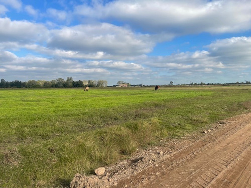 Loteo La Eugenia By Moradas Venta De Lotes Con Amplia Financiacion En Ezeiza