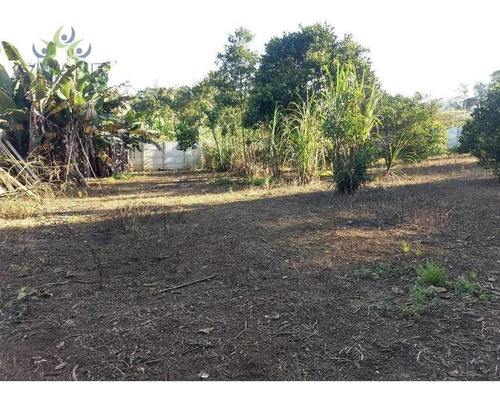 Imagem 4 de 5 de Terreno Pra Locação, A 3 Minutos Da Tibiriçá, Atrás Do Semar Do Raffo - 6000 M² Por R$ 5.000 - Chácara Estância Paulista - Suzano/sp - Te0084