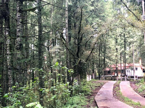 Imagen 9 de 12 de Terreno En Venta Bonito Bosque Para Tu Cabaña! Fracc Residencial Campestre!
