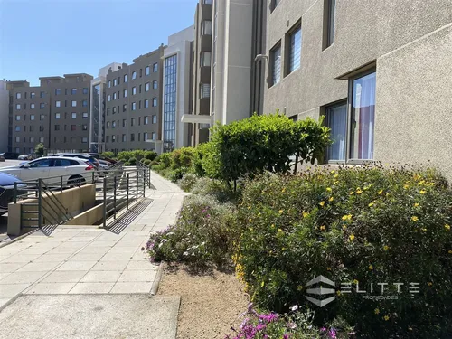 Departamento En Venta En Sol Y Mar, Viña Del Mar