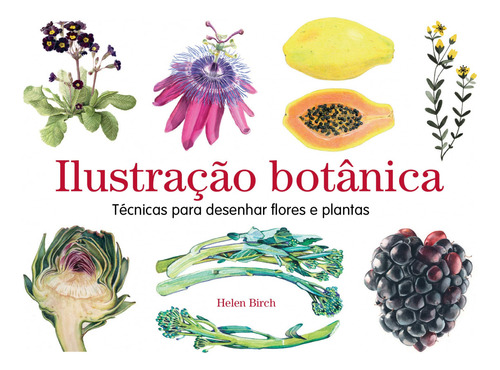 Ilustração Botânica: Técnicas Para Desenhar Flores E Planta