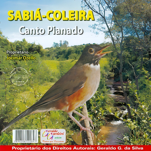 Cd - Sabiá-coleira - Canto Pianado
