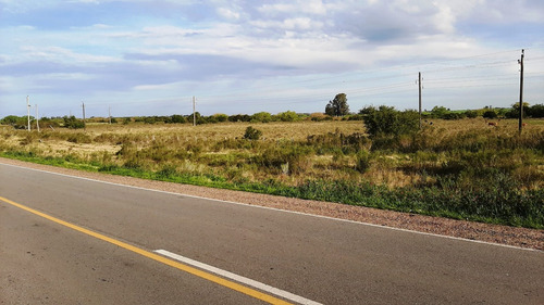 Imagen 7 de 7 de Campo 4 Hectareas Con Arroyo Sobre Ruta 12 En Tala