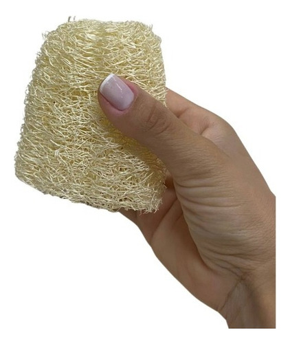 Esponja Bucha Vegetal Pequena Multiuso Mini 1 Un