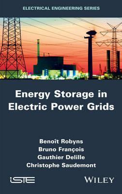 Libro Energy Storage In Electric Power Grids - Benoã®t Ro...