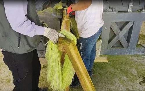 Fibra De Henequen, Fibra De Henequén, Sisal, Pacas De Fibra