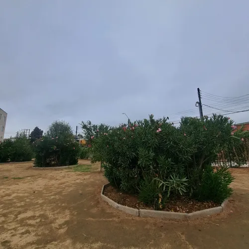 Arriendo Departamento Excelente Conectividad Quilpué