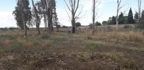 Imagen 5 de 7 de Finca En Blanco En Las Paredes San Rafael Menoza