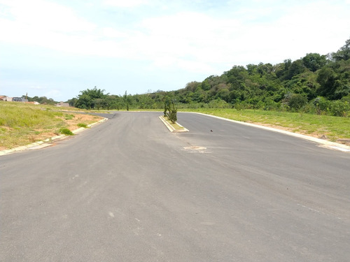 Imagem 10 de 26 de More Pertinho Da Natureza E A 10 Minutos Do Centro Da Cidade, Park Gran Reserve Excelente Investimento !!! - Tr01872 - 34602552