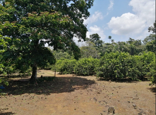 Imagen 4 de 9 de Finca Hermosa
