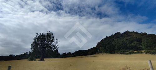 Sitio - 5.000 M2 Cada Uno - Cascadas - Puerto Octay
