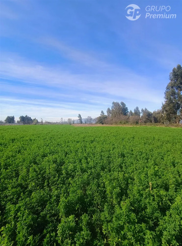 Parcela En Venta En Chimbarongo