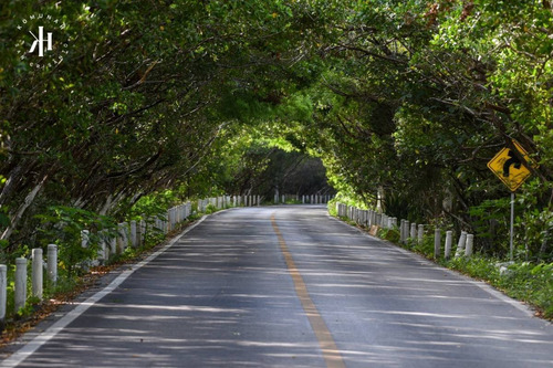 Imagen 5 de 6 de Terrenos En Venta En Con Playa En Mérida Yucatán
