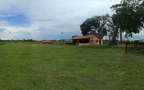 Imagen 7 de 9 de Se Vende Finca Via Al Sur A 10min Del C.c La Cascada Ve01-0939zs-mf