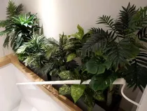 Comprar Diseño Y Decoración Con Plantas Artificiales