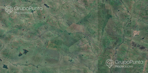 Campo En Venta - Tacuarembó
