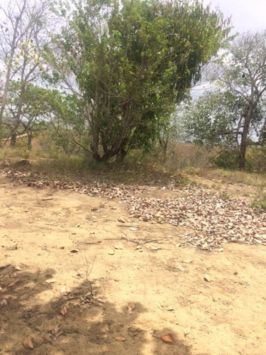 Imagem 5 de 18 de Ótimo Sítio 14 Hec, Não Tem Benfeitoria, Estrada De Aldeia Km 33 Em Paudalho Aceito Carro - St00007