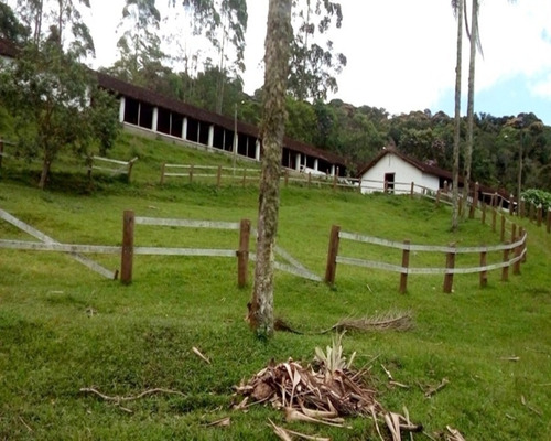 Imagem 15 de 30 de Sitio À Venda Em Juquitiba, - 21 - 32982657