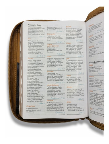 Imagen 8 de 10 de Biblia Juvenil Compacta Letra Grande 11 Pt Aguila Cafe
