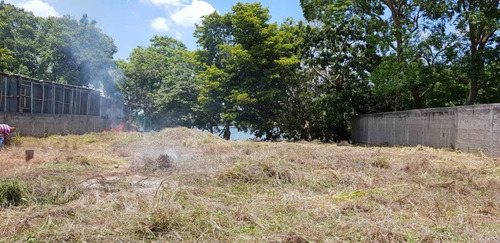 Imagen 2 de 6 de Residencial Terreno En Venta