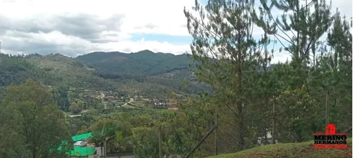 Terreno En Venta En Rionegro - Llanogrande