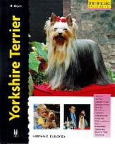 Yorkshire Terrier / Excellence
