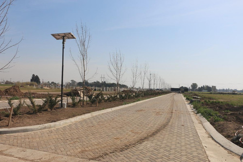 Imagen 18 de 28 de Ecotierra Sur - 300 M2