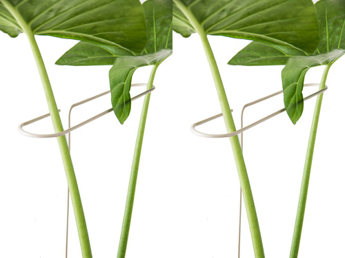 Pack Por 4 Tutor Para Plantas 60cm Hierro Macizo Verde Ingles