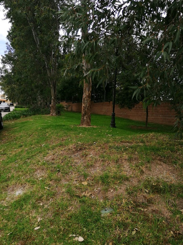 Imagen 13 de 14 de Casa En Venta Alta California Zona Sur
