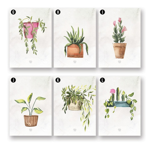 Imagen 9 de 10 de Set De 3 Cuadros (3 A4) Diseños Macetas Plantas A Elección