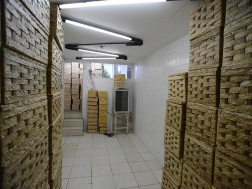 Imagem 25 de 30 de Casa Comercial Para Locação, Centro, Jundiaí. - Ca0784 - 34729012