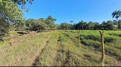 Vendo Finca Próximo A La Victoria