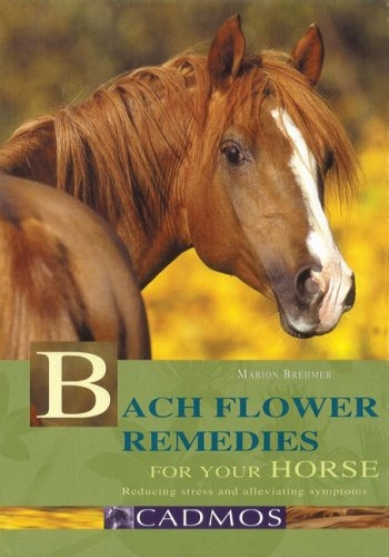 Remedios De Flores De Bach Para Su Caballo Reduciendo El Est