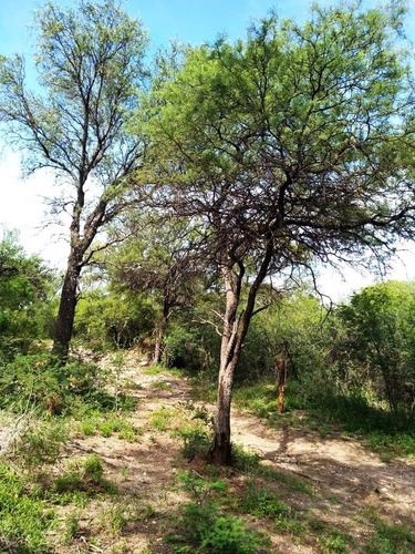 Imagen 9 de 11 de Vendo Lotes De 3.300 M² Cerca De Los Sauces, San Marcos Sierras- Oportunidad
