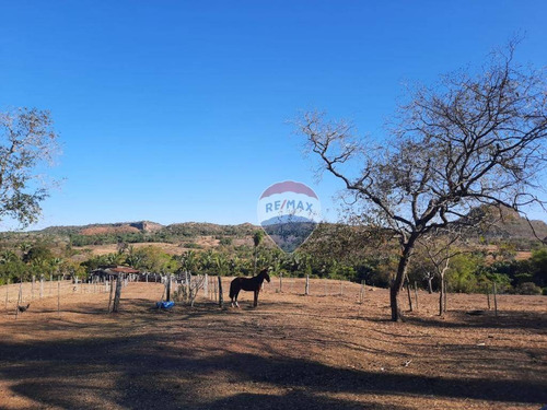 Imagem 1 de 18 de Fazenda Á Venda - Alto Boa Vista - Fa0005