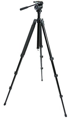 Celestron TriPod  Regal Premium