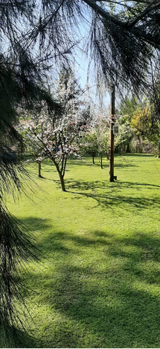 Inmueble Casas Alquiler Temporario Zona Norte Tigre Delta