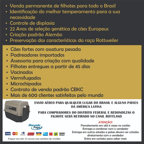 Rottweiler Canil N1 Df Filhotes Alto Padrão Entrega Imediata