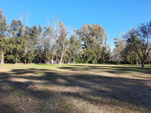 Imagen 6 de 10 de Venta De Lote 320 M2 En Villa Udaondo