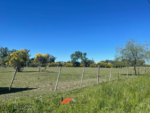 Loteo De Terrenos En Venta, Ranchos