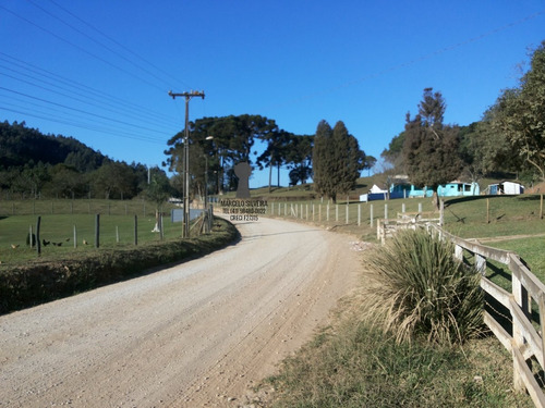 Chácara A Venda No Bairro Centro Em Bocaiúva Do Sul - Pr. - 381-1