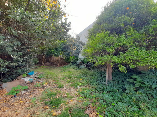 Imagen 18 de 27 de Venta De Casa De 3 Amb Con Cochera Pasante Y Amplio Lote.