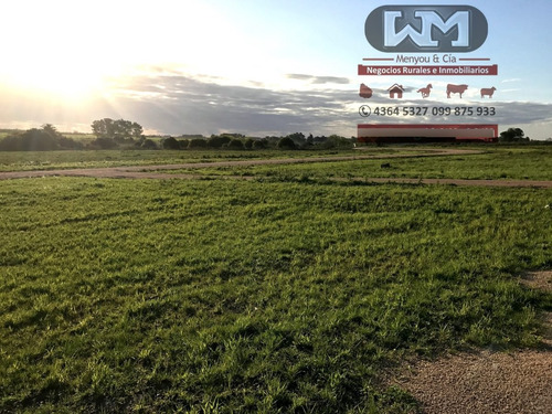 Venta Terreno En Trinidad Flores 10000 M2 Zona La Aviación