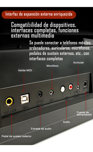 Teclado Musical Profesional 61 Teclas Ym758 Midi Polea Doble