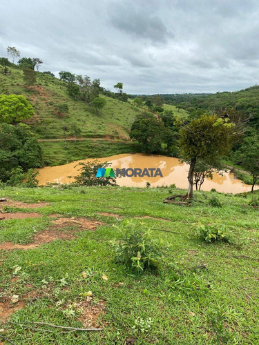 Imagem 14 de 15 de Fazenda - Zona Rural - Ref: 5534 - V-mta5534