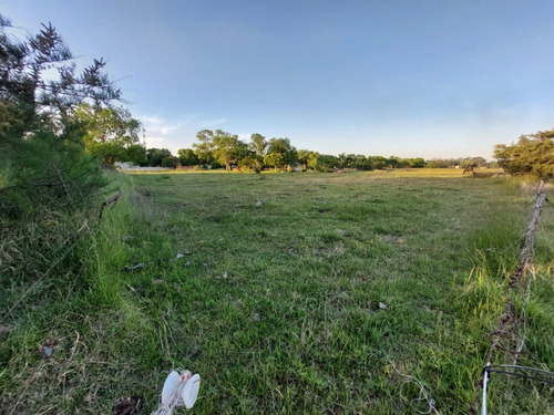 Vendo Lote En Alvarez De Toledo,saladillo