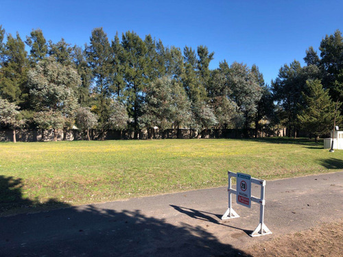 Imagen 11 de 16 de Lote En Lomas De San Antonio