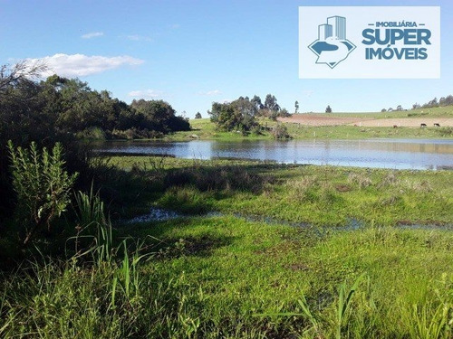Imagem 1 de 12 de Chácara A Venda No Bairro Centro Em Turuçu - Rs. - 2010-1